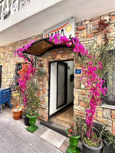Exterior & Views 1, Tiana Butik Otel, Bodrum