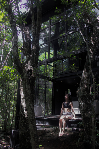 Property grounds 4, Tree60, Cozumel