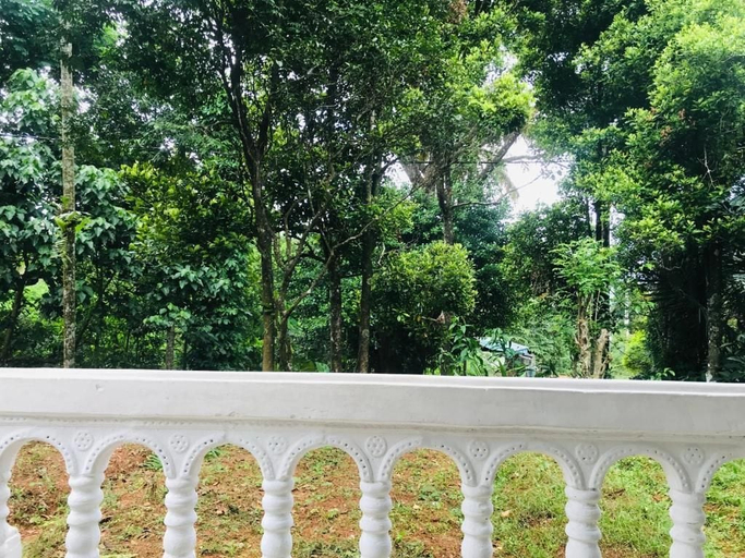 Property grounds 3, Sapphire Step Homestay, Doluwa