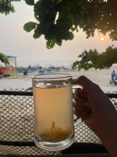 Food & Drinks 5, 12 Monks Hostel Goa, North Goa