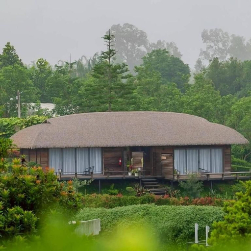 Primary image, Arabica Khaokho, Khao Kho