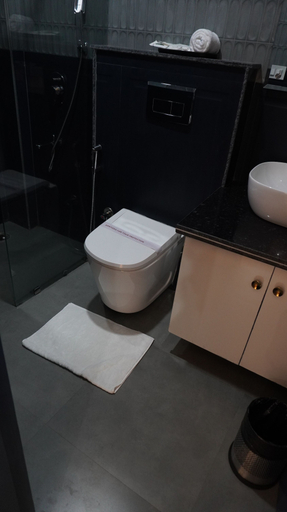 Bathroom 2, Macpro Inn Rubystone Express, Dehradun