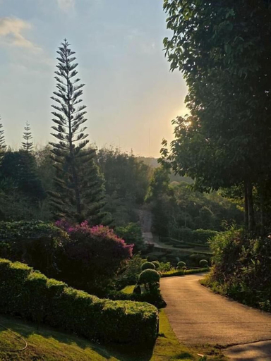 Exterior 4, Arabica Khaokho, Khao Kho