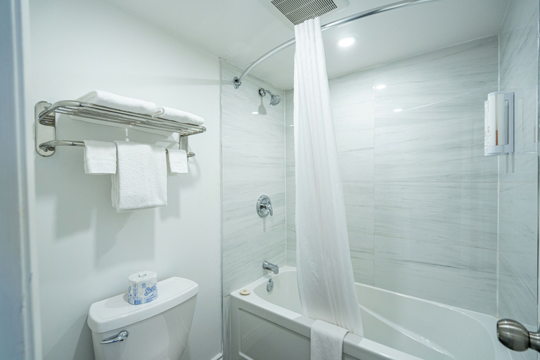 Bathroom 4, Rodeway Inn King William, Muskoka