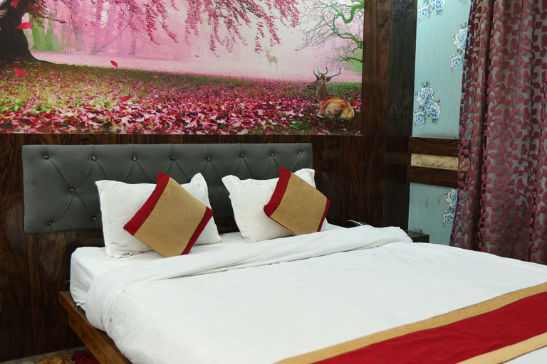 Room 1, hotel royal sen, Janakpur