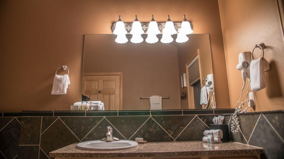 Bathroom 4, The Stanley Hotel, Larimer