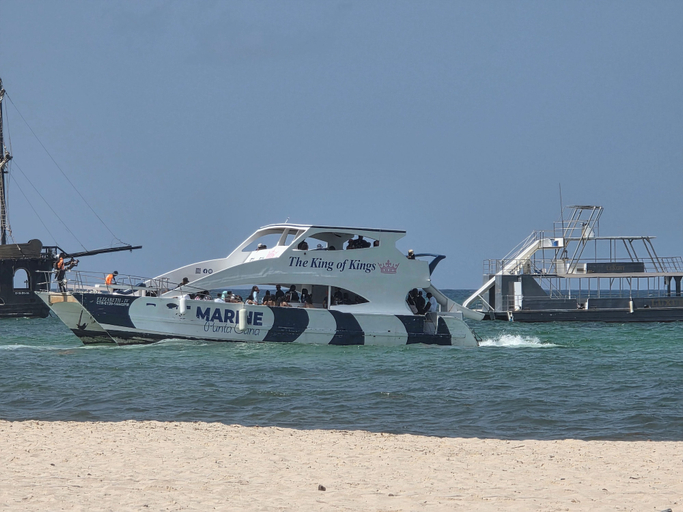 Beach, Gran sol caribe corales punta cana, Salvaleon de Higuey