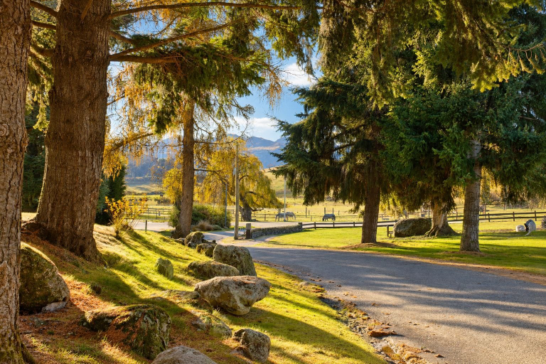 Exterior 3, Sundale Mora Motels, Queenstown-Lakes