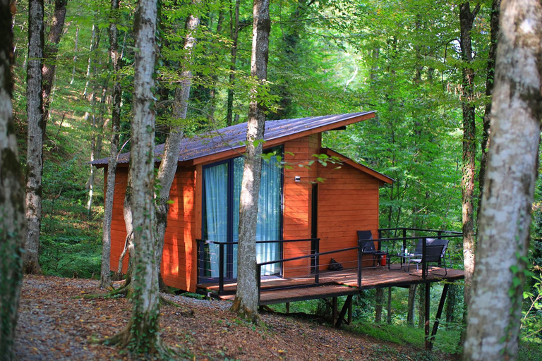 5, Eco village in the forest, Lagodekhi