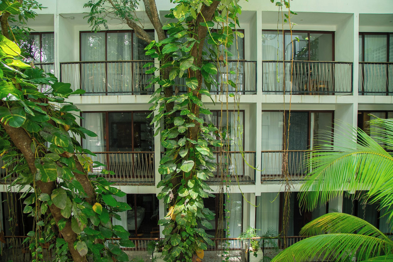 Exterior & Views 2, Living Bloom, Concept Hotel, Cozumel