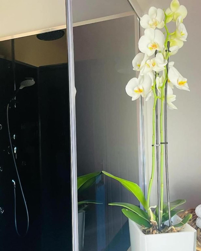 Bathroom 5, Yourte au Paradis, Deux-Sèvres