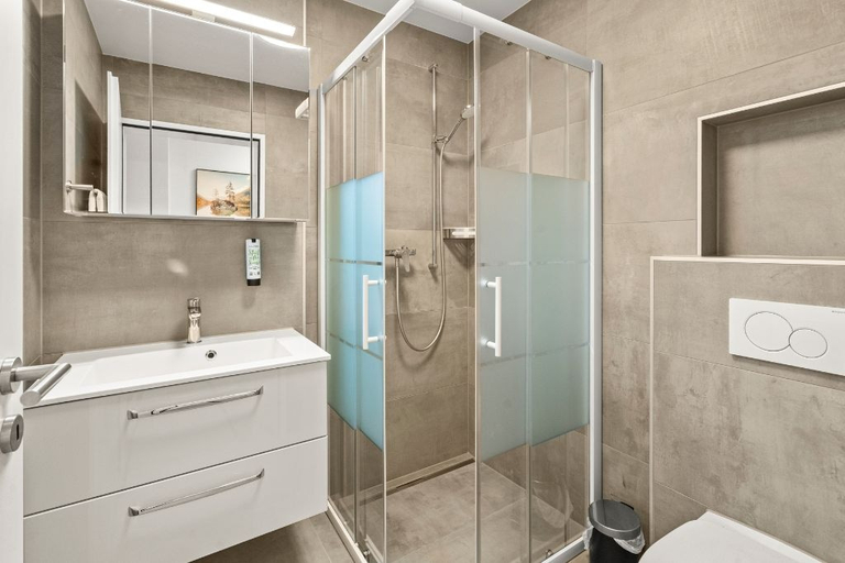 Bathroom 3, BERG&BERG APARTMENTS-Spiez Self Check-In, Niedersimmental
