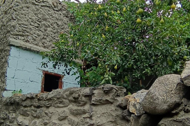 Others 4, Royal Hunza Inn, Northern Areas