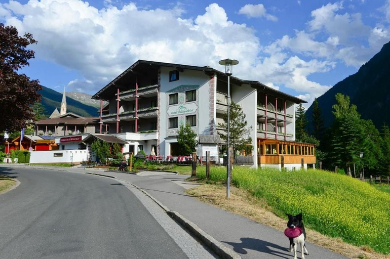 Exterior & Views 2, Sporthotel Heiligenblut, Spittal an der Drau