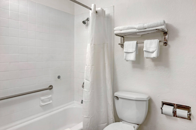 Bathroom 4, Quality Inn & Suites Ruther Glen, Caroline