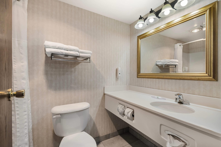 Bathroom 4, Quality Inn & Suites Manistique, Schoolcraft