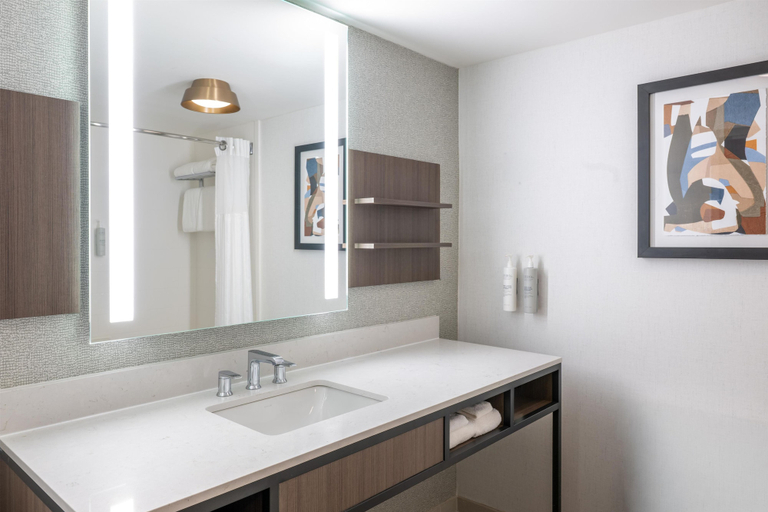 Bathroom 4, Hilton Garden Inn Denver Tech Center, Denver