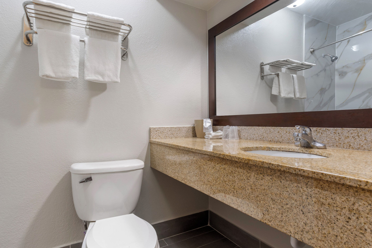 Bathroom 4, Red Roof Inn La Marque– Texas City, Galveston