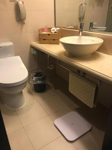 Bathroom 4, Rui Tai Hotel Hongqiao, Shanghai