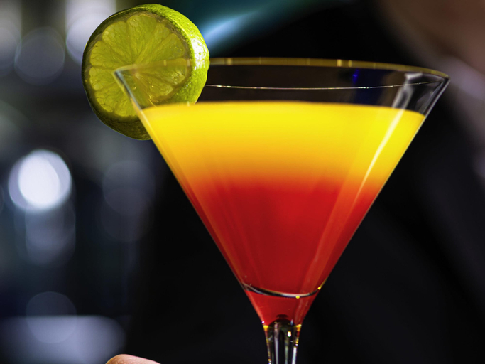 Food & Drinks 5, Ibis Annecy Cran Gevrier Hotel, Haute-Savoie