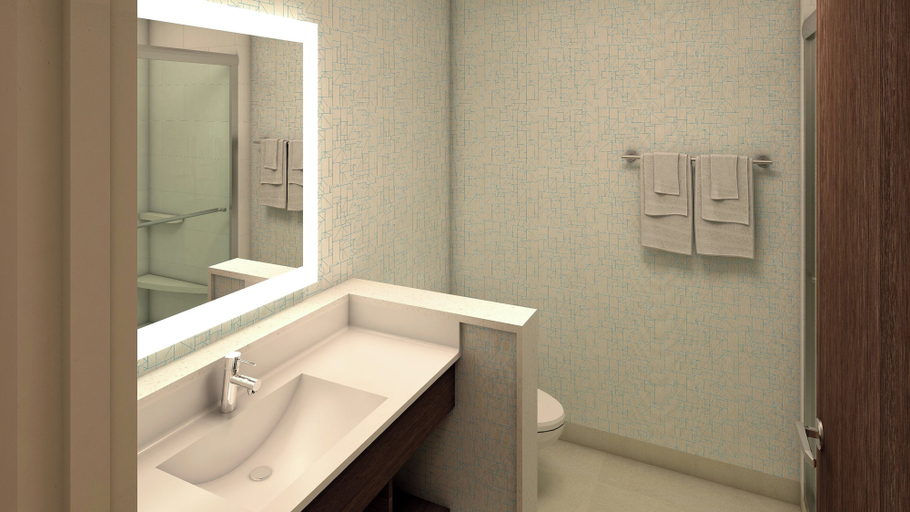 Bathroom 4, Holiday Inn Express & Suites KINGFISHER by IHG, Kingfisher