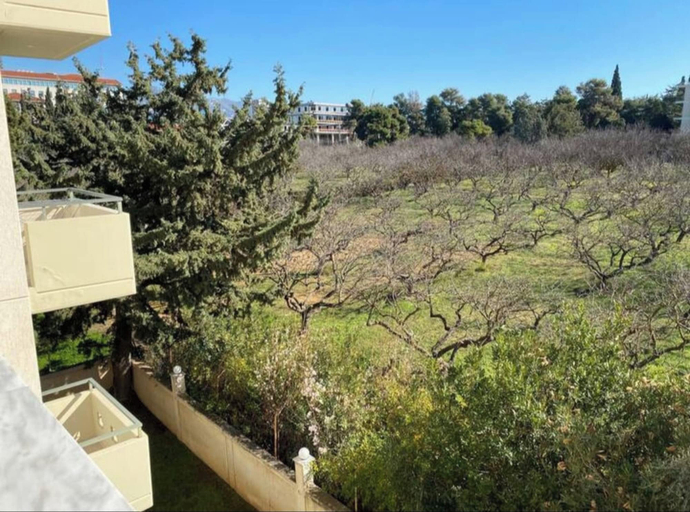 Property grounds 2, Filoxenia House Marousi Olive Tree View, Parking, Attica