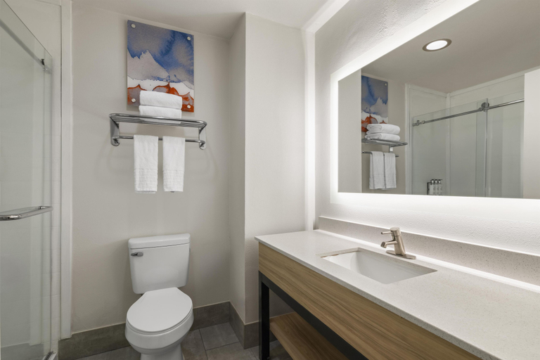 Bathroom 4, Best Western Premier Houston Downtown/Convention C, Houston