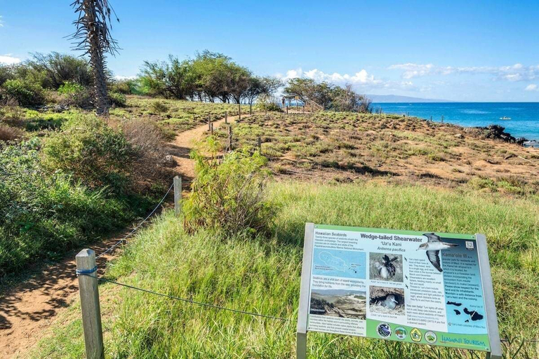 Exterior 5, 1BD Ocean View Walk to the Beach and Pool - Hale Kamole 210, Maui