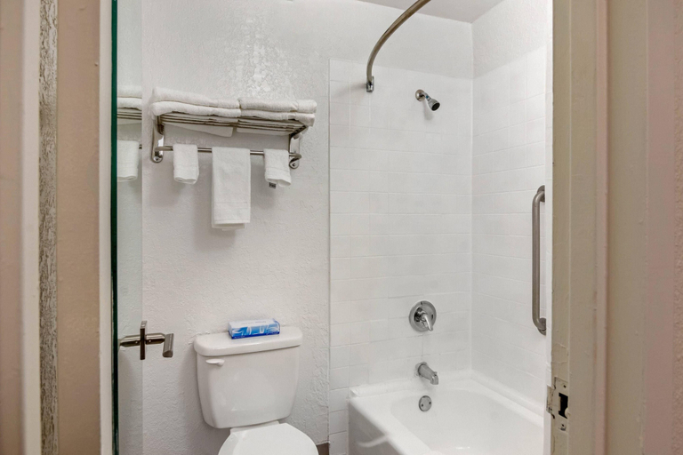 Bathroom 4, Quality Inn & Suites Ruther Glen, Caroline