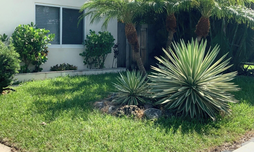 Property grounds, Pompano Vibes Beach Apartments, Broward