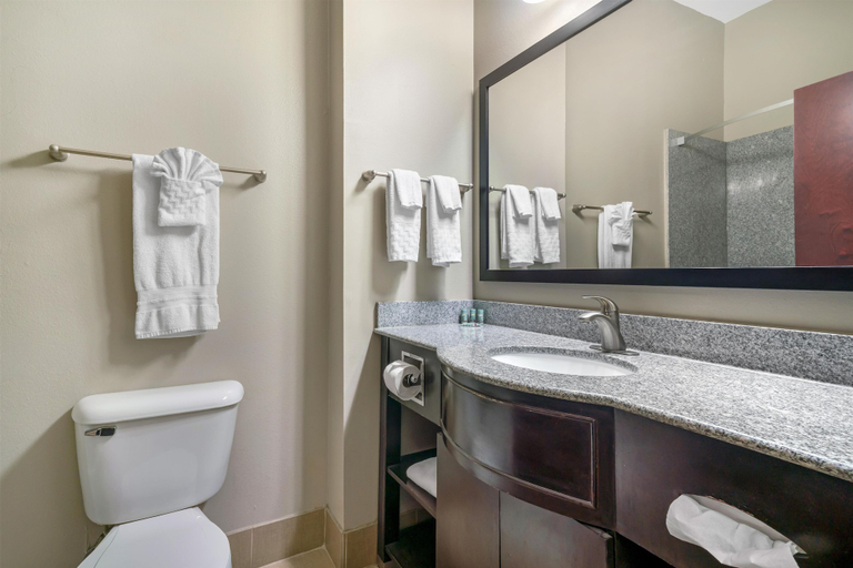 Bathroom 4, Best Western Abbeville Inn & Suites, Vermilion