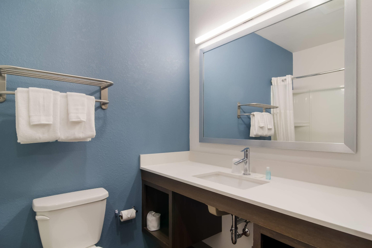 Bathroom 5, WoodSpring Suites Jacksonville - South, Duval