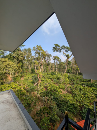 Property grounds 2, Bougain Villa Mekeri, Kodagu