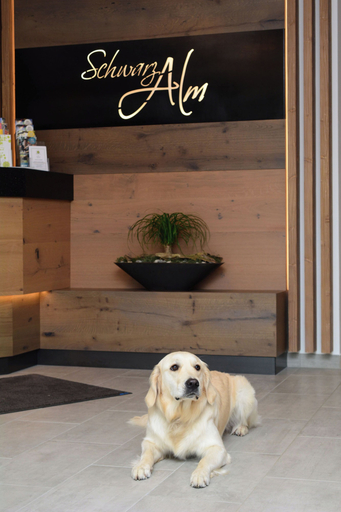 Others 5, Hotel Schwarz Alm Zwettl, Zwettl