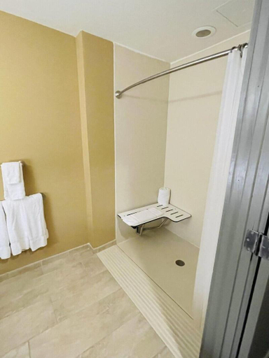 Bathroom 4, Greenville Inn & Suites, Washington