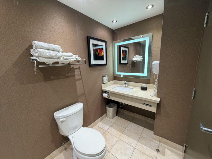 Bathroom 4, Quality Inn & Suites Regina Downtown, Division No. 6