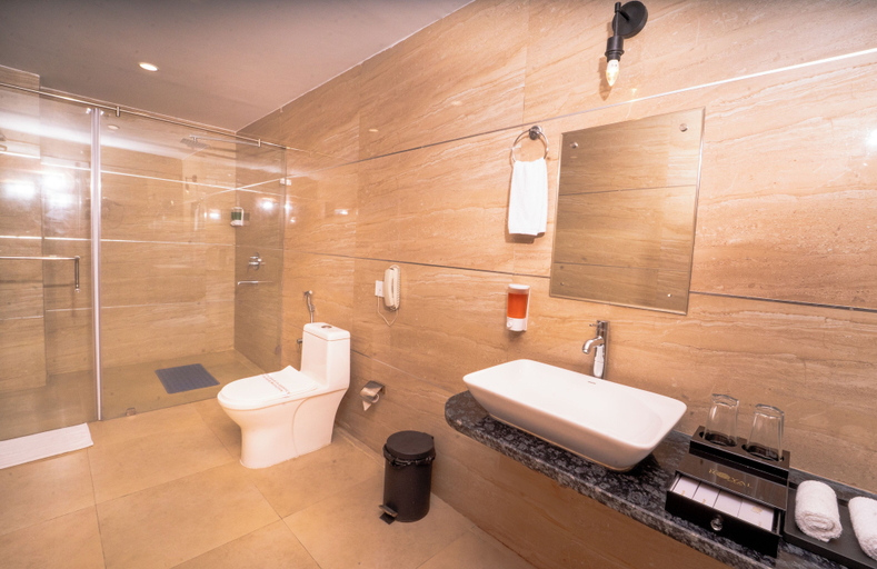 Bathroom 5, The Royal Bihar, Patna