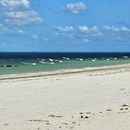 Beach 5, Private Beachfront Apartment With Ocean Views in Zanzibar, Kati