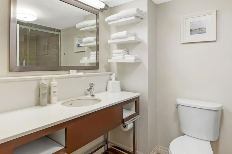 Bathroom 5, Hampton Inn Washington, Beaufort