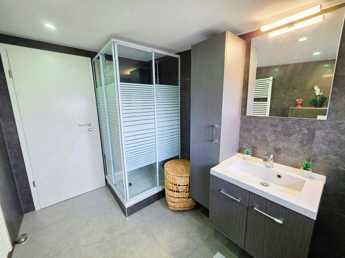 Bathroom 2, Charming Stay w. terrace in Differdange, Esch-sur-Alzette