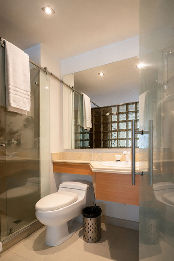 Bathroom 4, Hotel Egina Bogota, Santafé de Bogotá