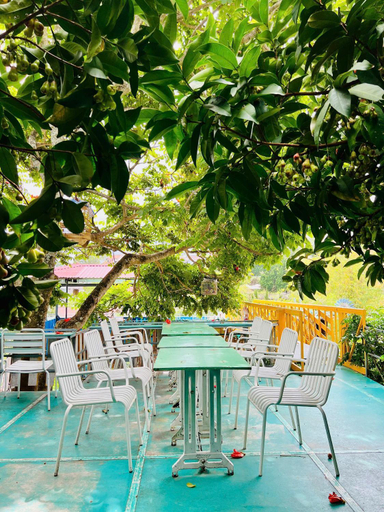 Sport & Beauty 3, O Cua Mua Thu, Đà Lạt