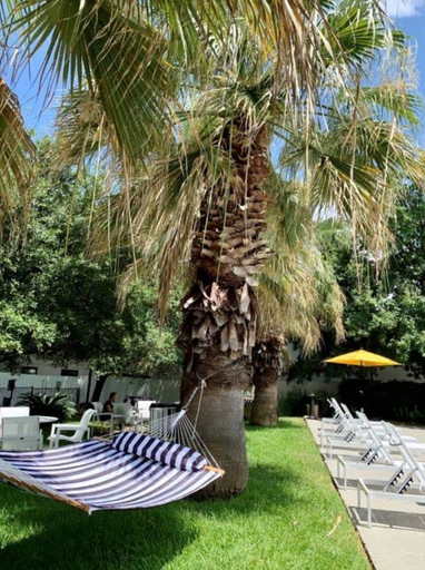 Room 4, Trendy Soco 1BR Suite King bed Fast Wifi w Pool, Travis