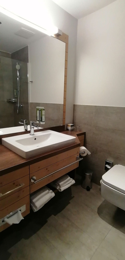 Bathroom 3, Hotel Schwarz Alm Zwettl, Zwettl
