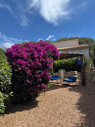 Others 3, Residence Patios di Pruno T2, Corse-du-Sud