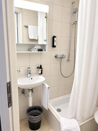 Bathroom, Gasthof Baren, Oberhasli