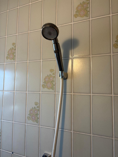 Bathroom 3, Casa del girasolカサデルヒラソル, Moriguchi