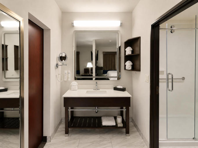 Bathroom 5, Atrium Hotel and Suites DFW Airport, Irving