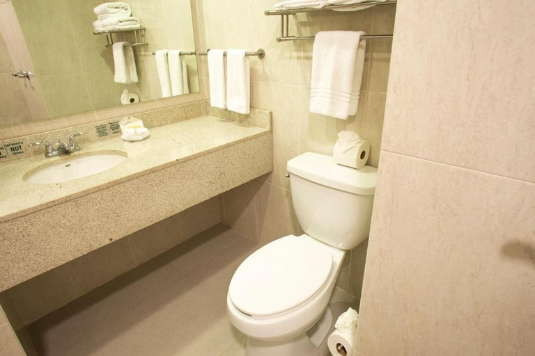 Bathroom 4, Hotel Plaza Calzada, Monterrey