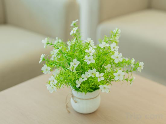 Others 4, B2 Future Park Rangsit Boutique & Budget Hotel, Thanyaburi